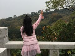 -雨花胜境