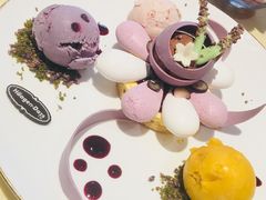 花开左岸-哈根达斯(滨江店)