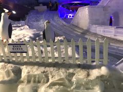 -世界之窗阿尔卑斯冰雪世界