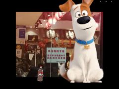 -爆炸头阿姨小四川正宗川味小吃(无任何分店)
