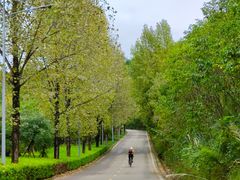 -仙海旅游度假区