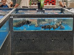 -盒马鲜生(顺义店)