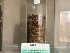 -广东中医药博物馆