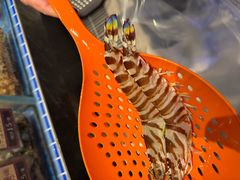 -協成海鮮火鍋(老店)