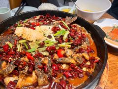 -老板恋上鱼(恒隆广场店)