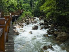 -九龙江国家森林公园