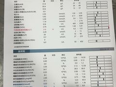 -四月宠物医院·猫专科·心脏专科·内科(转塘店)