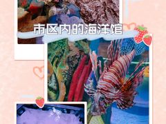 -沈阳海洋探索中心