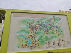 -千年银杏谷文化旅游区