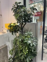 -LJOY丽锦造型·烫发染发