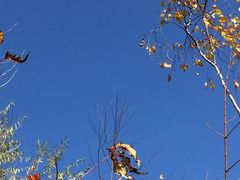 -中国建设银行哈尔滨培训中心