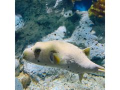 -福州罗源湾海洋世界旅游区