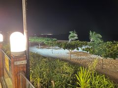 -渔家火锅·海鲜自助餐·演艺(亚龙湾天域酒店)