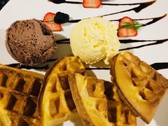 -百好乐宠物友好餐厅(朝外大街店)