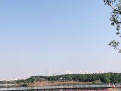 -海珠湖公园