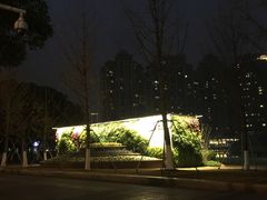 -西北湖绿化广场
