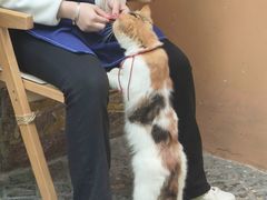-猫岛主趣味餐厅(鼓浪屿店)