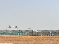 -盐城丹顶鹤湿地生态旅游区