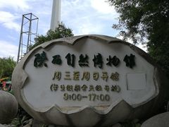 -陕西自然博物馆