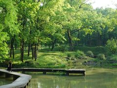 -杭州植物园