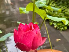 -李叔同故居纪念馆