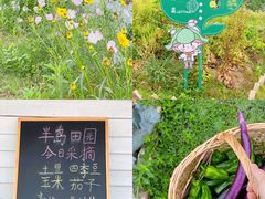 -阳澄湖半岛旅游度假区