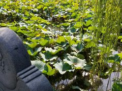 -韩湘水博园