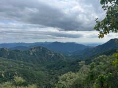-大岭沟猕猴桃谷风景区