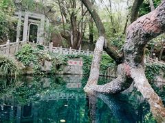 -蝴蝶泉公园