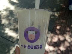 -一只酸奶牛(奎星楼店)