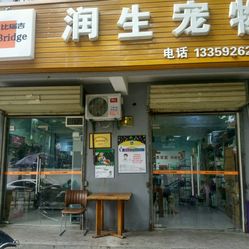 西安宠物店行业的最新发展动态
