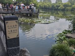 -西湖游船