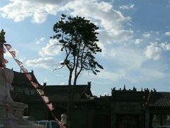 -大召麦香村(新生街店)
