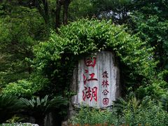 -广州白江湖森林公园