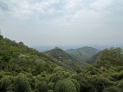 -莫干山风景区