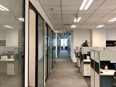 -菠萝国际教育专注Alevel·IGCSE·IB·AP·托福雅思培训辅导(静安校区)