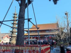 -天津大悲禅院