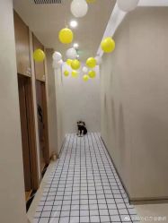 -婚礼美学