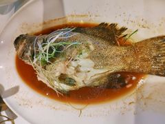 -宝轩渔府·老字号海鲜·正宗津菜(水上店)