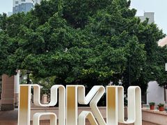 -香港大学
