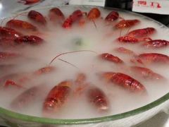 -红盔甲·小龙虾(天钥桥店)