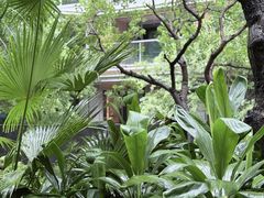 -领晟体育蓝天花园室内游泳馆