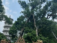 -国恩寺