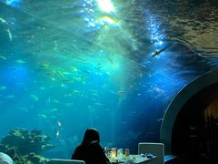 -海棠湾洲际-涛·海底餐厅·美人鱼·自助餐·海底隧道