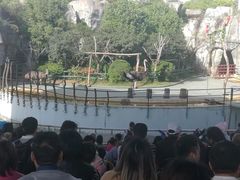 -南昌动物园