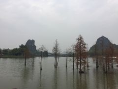 -南宁花花大世界景区