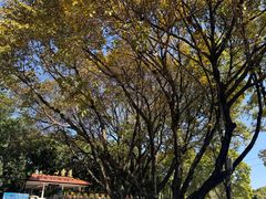 -白云山索道-售票处