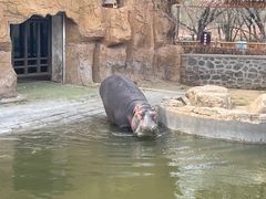 -沈阳森林动物园