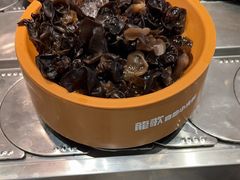 -龍歌自助小火锅(李沧丽达店)