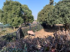 -无锡动物园·太湖欢乐园